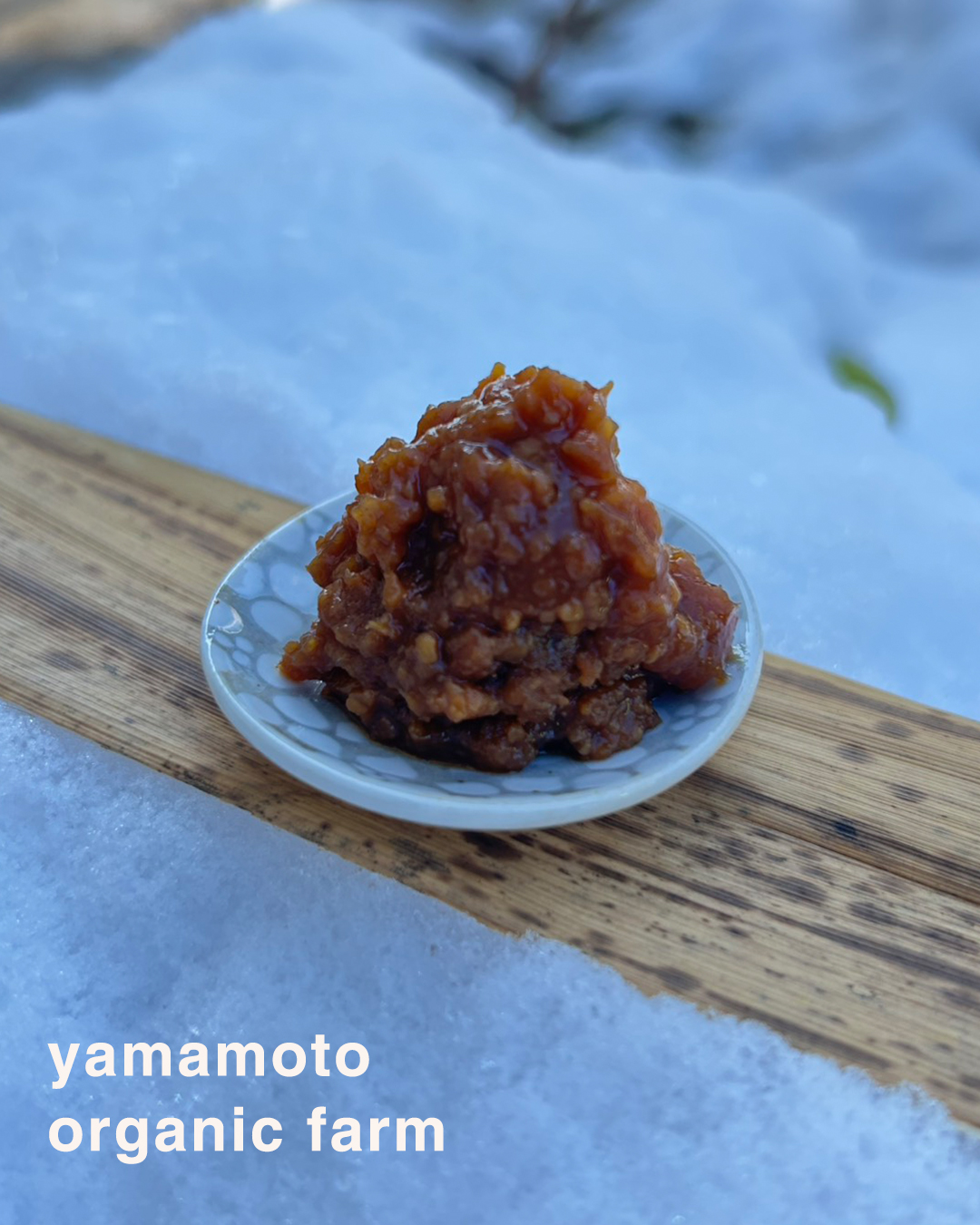 やまもと有機菜園 味噌づくり